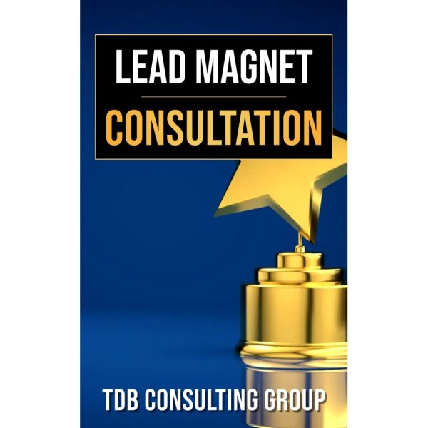 Lead Magnet Consultation